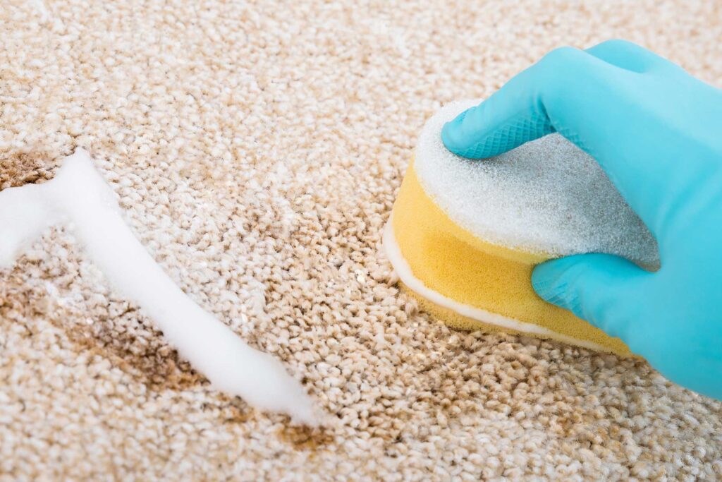 How To Dry Carpet With Baking Soda